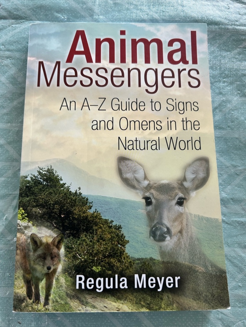 Animal Messengers by Regula Meyer